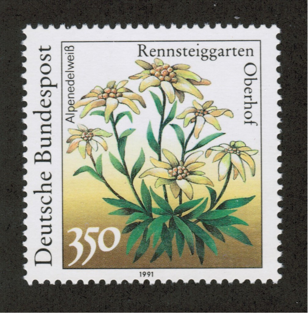 Germany Stamps - An Overview